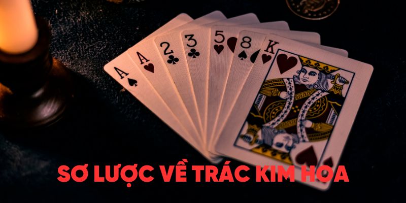 Trác Kim Hoa J88 - sơ lược 